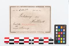 Etikett zu Bronzearmreif (NHMW-PRAE-023834)